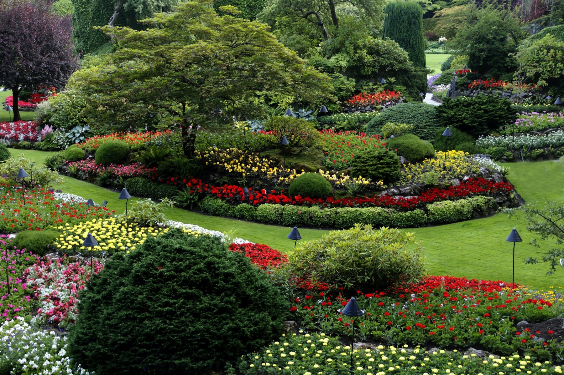 Layered flower beds and shrubs in a Pacific Northwest garden