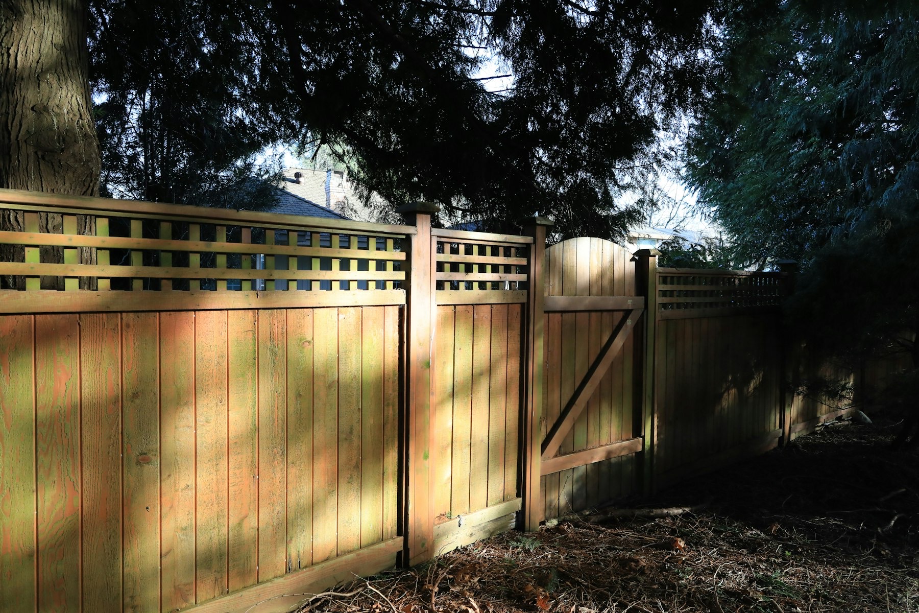 Cedar wood fence and gate under evergreen trees