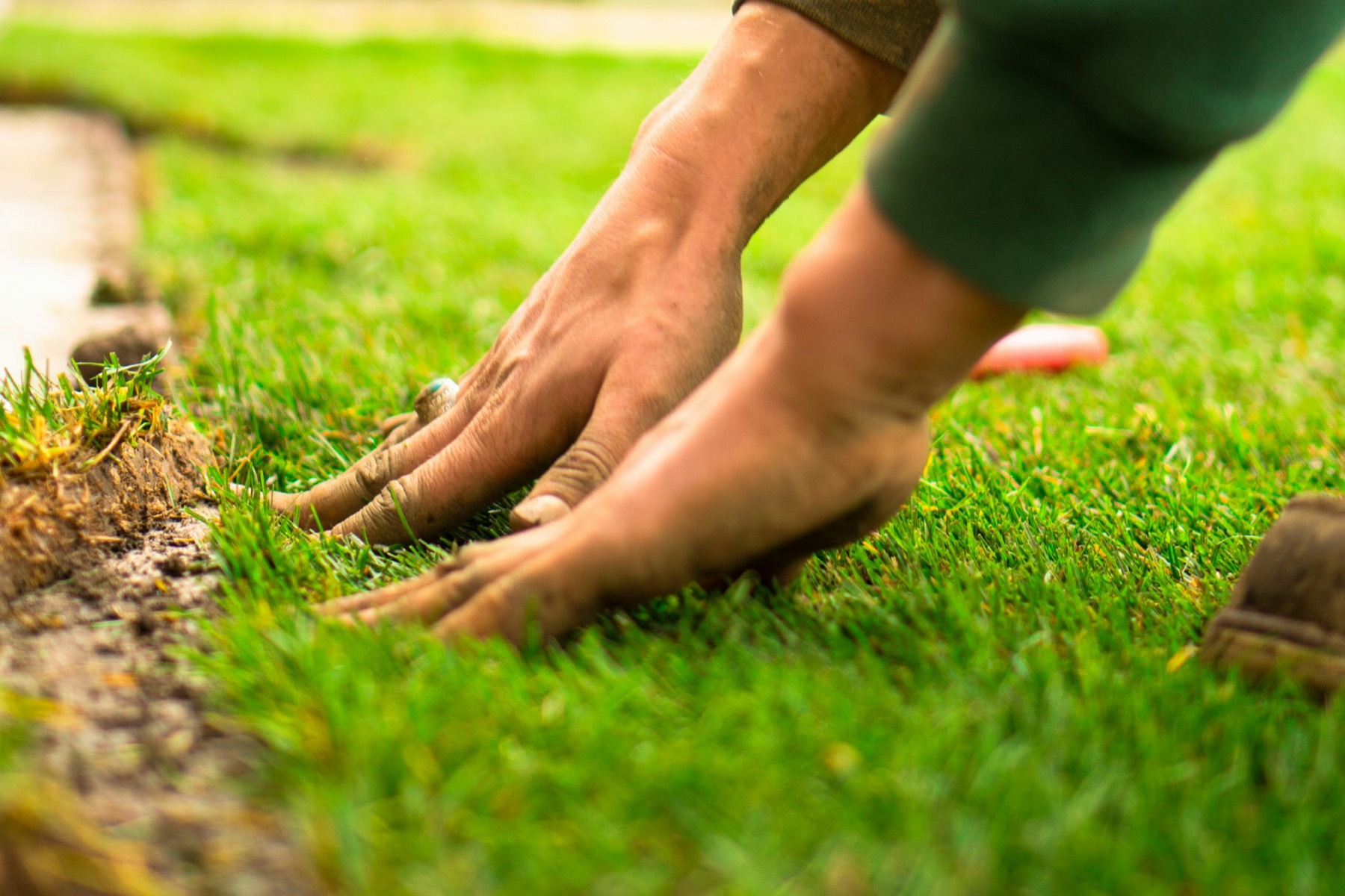 Hands pressing fresh sod into prepared soil along a lawn edge